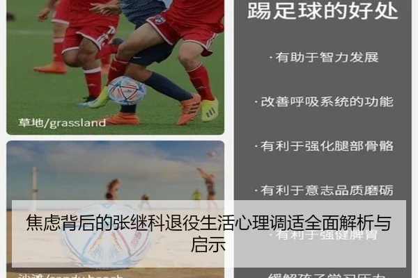 焦虑背后的张继科退役生活心理调适全面解析与启示